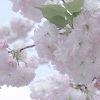 盐湖FurryQQ群介绍